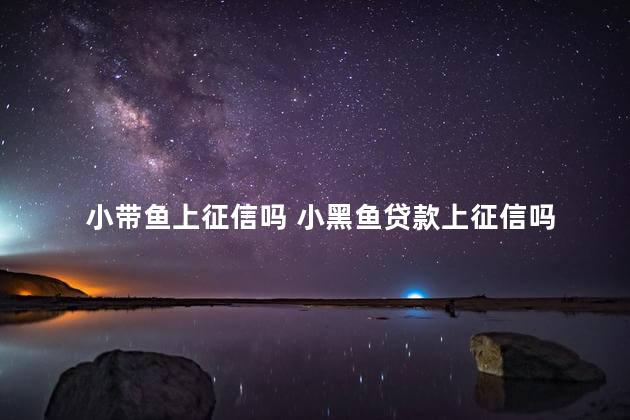 小带鱼上征信吗 小黑鱼贷款上征信吗